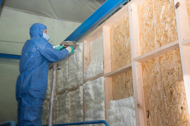 Best Cellulose Insulation  in Carbondale, CO