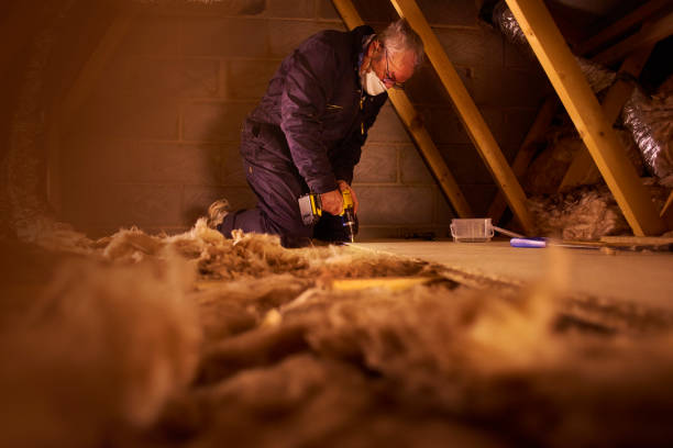 Best Wall Insulation Contractor  in Carbondale, CO